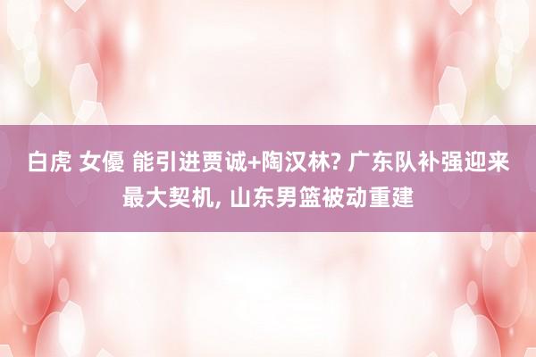 白虎 女優 能引进贾诚+陶汉林? 广东队补强迎来最大契机， 山东男篮被动重建