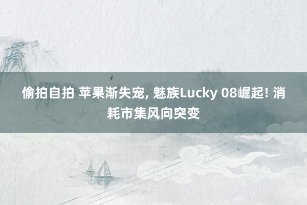 偷拍自拍 苹果渐失宠， 魅族Lucky 08崛起! 消耗市集风向突变
