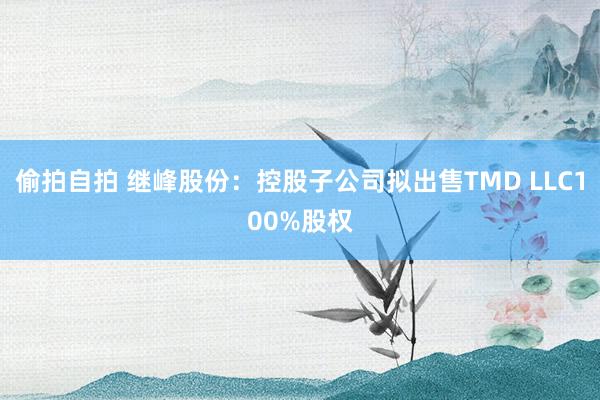 偷拍自拍 继峰股份：控股子公司拟出售TMD LLC100%股权