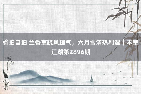 偷拍自拍 兰香草疏风理气，六月雪清热利湿｜本草江湖第2896期