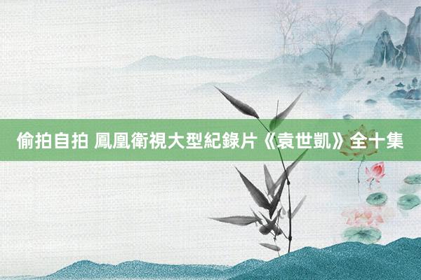 偷拍自拍 鳳凰衛視大型紀錄片《袁世凱》全十集