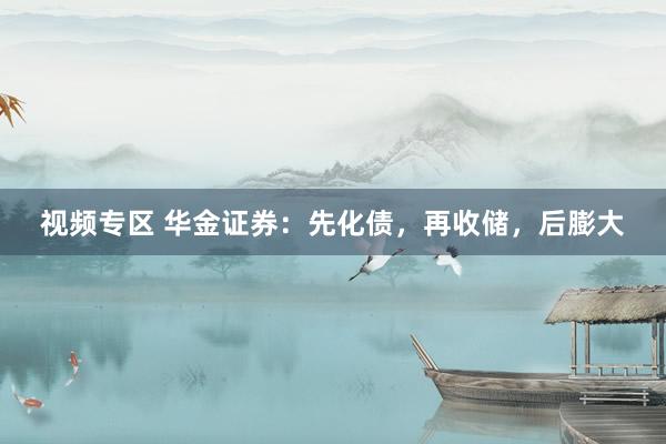 视频专区 华金证券：先化债，再收储，后膨大