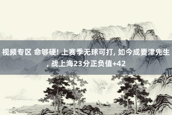 视频专区 命够硬! 上赛季无球可打, 如今成要津先生, 战上海23分正负值+42