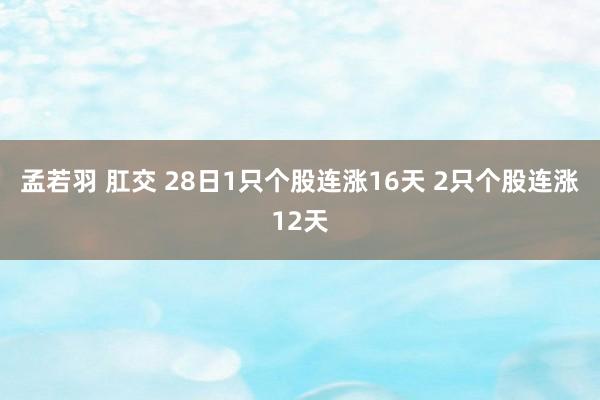 孟若羽 肛交 28日1只个股连涨16天 2只个股连涨12天