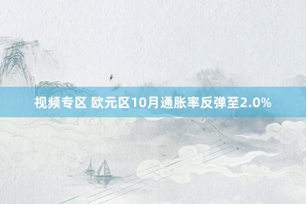 视频专区 欧元区10月通胀率反弹至2.0%