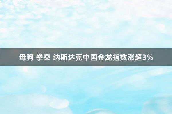 母狗 拳交 纳斯达克中国金龙指数涨超3%