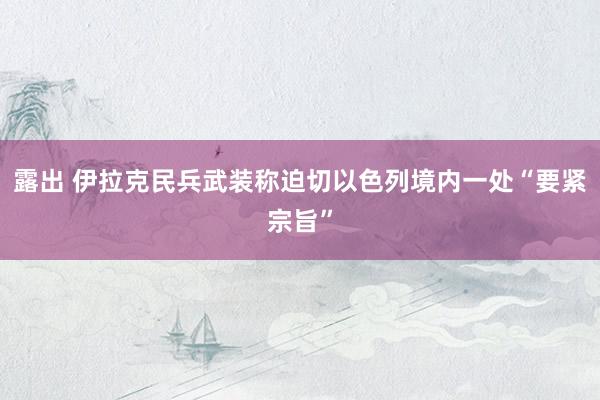 露出 伊拉克民兵武装称迫切以色列境内一处“要紧宗旨”