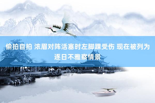 偷拍自拍 浓眉对阵活塞时左脚踝受伤 现在被列为逐日不雅察情景