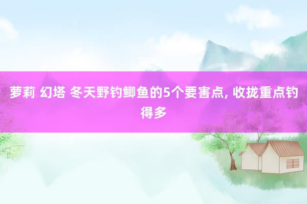 萝莉 幻塔 冬天野钓鲫鱼的5个要害点, 收拢重点钓得多