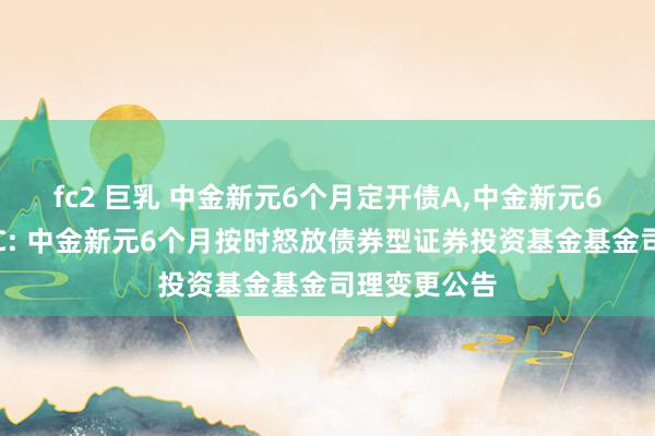 fc2 巨乳 中金新元6个月定开债A，中金新元6个月定开债C: 中金新元6个月按时怒放债券型证券投资基金基金司理变更公告