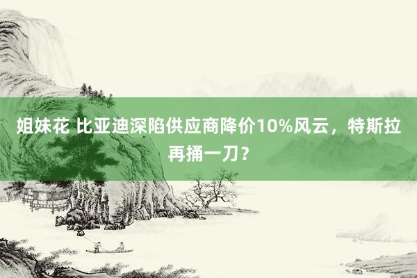 姐妹花 比亚迪深陷供应商降价10%风云，特斯拉再捅一刀？