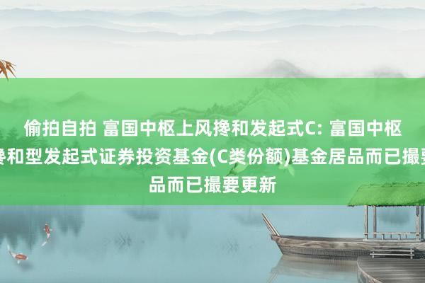 偷拍自拍 富国中枢上风搀和发起式C: 富国中枢上风搀和型发起式证券投资基金(C类份额)基金居品而已撮要更新