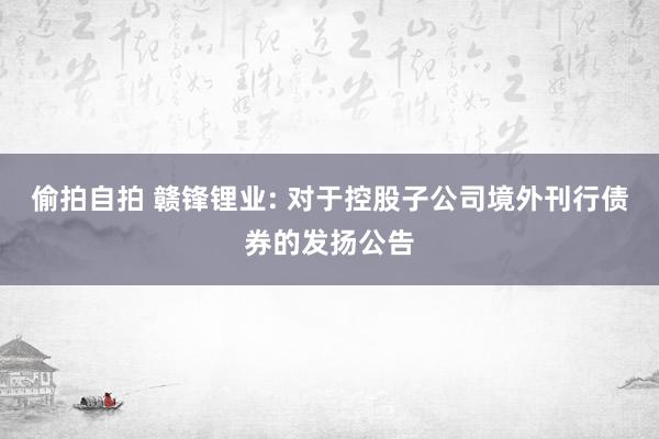 偷拍自拍 赣锋锂业: 对于控股子公司境外刊行债券的发扬公告