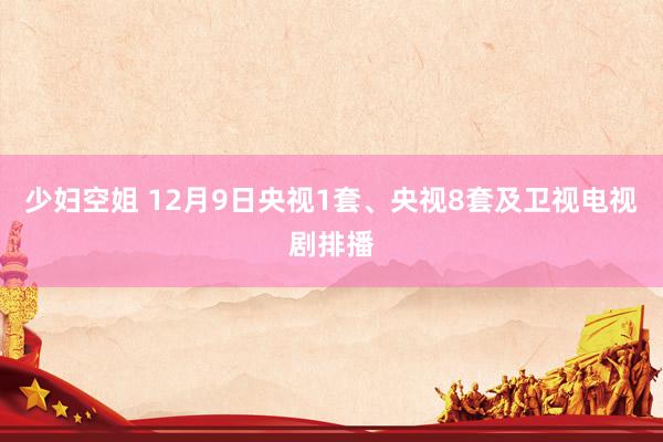 少妇空姐 12月9日央视1套、央视8套及卫视电视剧排播