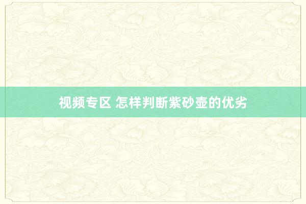 视频专区 怎样判断紫砂壶的优劣
