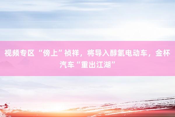 视频专区 “傍上”祯祥，将导入醇氢电动车，金杯汽车“重出江湖”