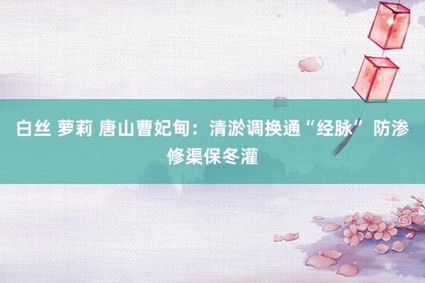 白丝 萝莉 唐山曹妃甸：清淤调换通“经脉” 防渗修渠保冬灌