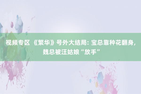 视频专区 《繁华》号外大结局: 宝总靠种花翻身, 魏总被汪姑娘“放手”