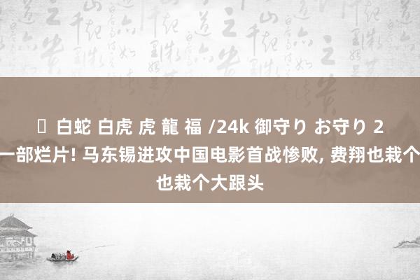 ✨白蛇 白虎 虎 龍 福 /24k 御守り お守り 2025第一部烂片! 马东锡进攻中国电影首战惨败, 费翔也栽个大跟头