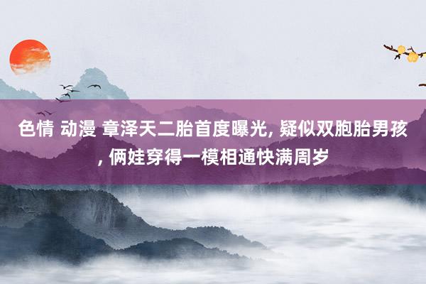 色情 动漫 章泽天二胎首度曝光, 疑似双胞胎男孩, 俩娃穿得一模相通快满周岁