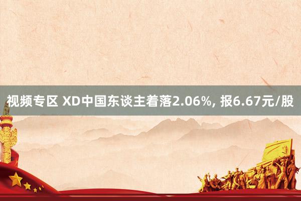 视频专区 XD中国东谈主着落2.06%, 报6.67元/股
