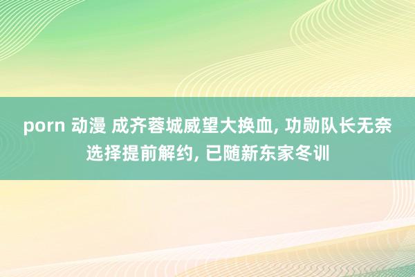 porn 动漫 成齐蓉城威望大换血, 功勋队长无奈选择提前解约, 已随新东家冬训