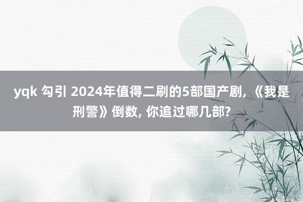 yqk 勾引 2024年值得二刷的5部国产剧, 《我是刑警》倒数, 你追过哪几部?