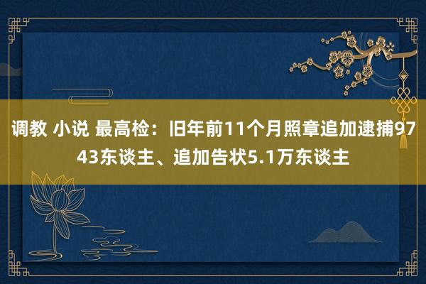 调教 小说 最高检：旧年前11个月照章追加逮捕9743东谈主、追加告状5.1万东谈主