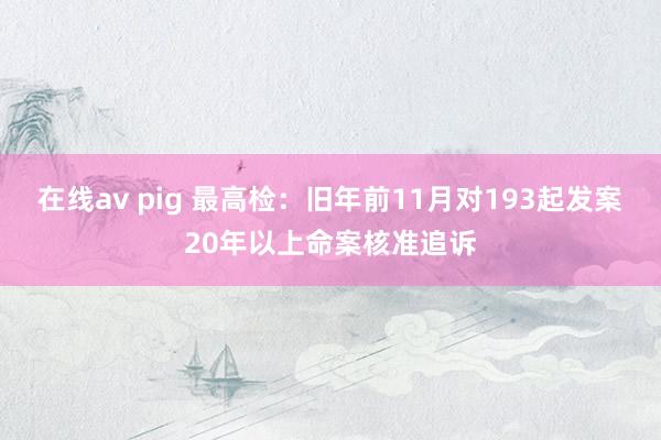 在线av pig 最高检：旧年前11月对193起发案20年以上命案核准追诉