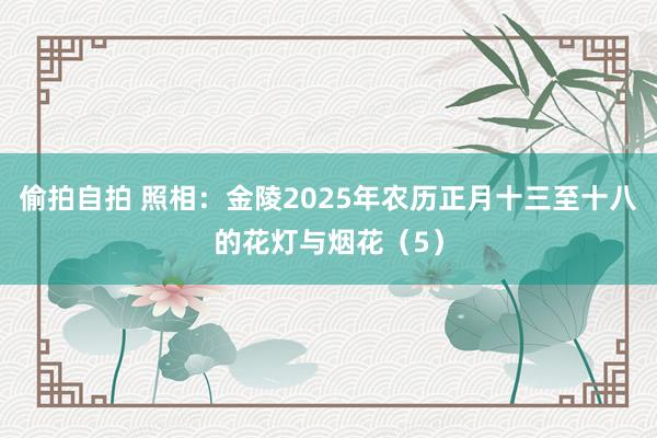 偷拍自拍 照相：金陵2025年农历正月十三至十八的花灯与烟花（5）