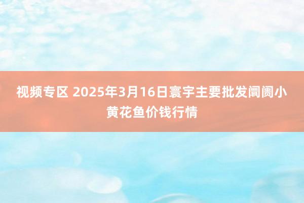视频专区 2025年3月16日寰宇主要批发阛阓小黄花鱼价钱行情