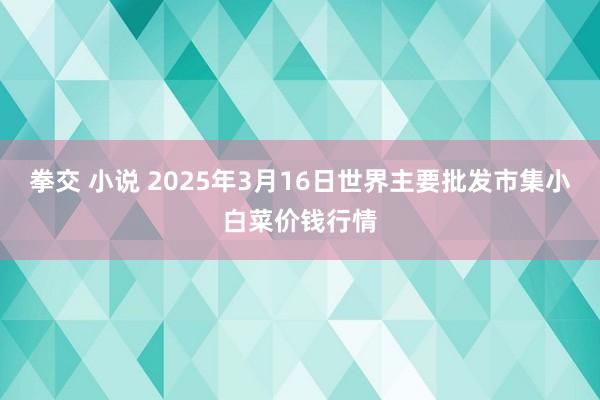 拳交 小说 2025年3月16日世界主要批发市集小白菜价钱行情