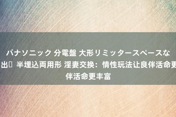 パナソニック 分電盤 大形リミッタースペースなし 露出・半埋込両用形 淫妻交换：情性玩法让良伴活命更丰富