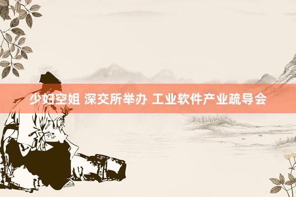 少妇空姐 深交所举办 工业软件产业疏导会