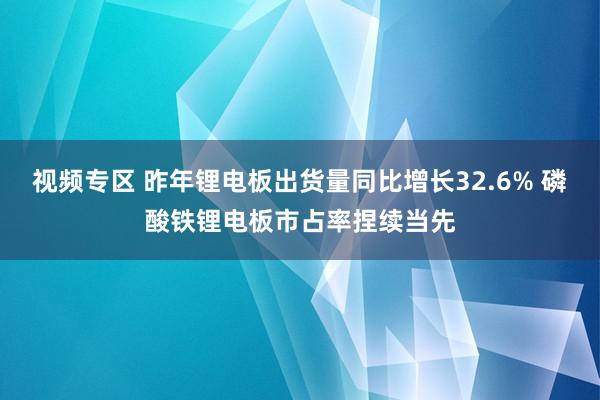 视频专区 昨年锂电板出货量同比增长32.6% 磷酸铁锂电板市占率捏续当先