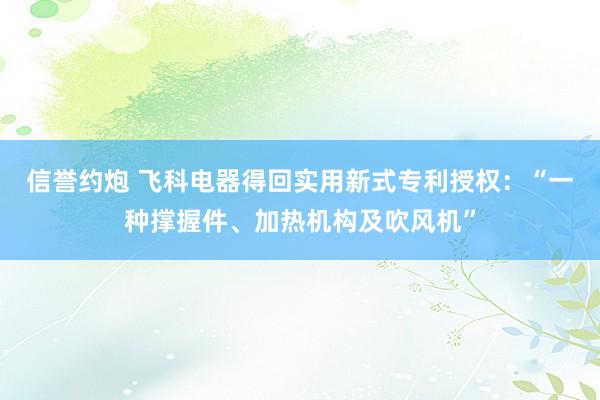 信誉约炮 飞科电器得回实用新式专利授权：“一种撑握件、加热机构及吹风机”