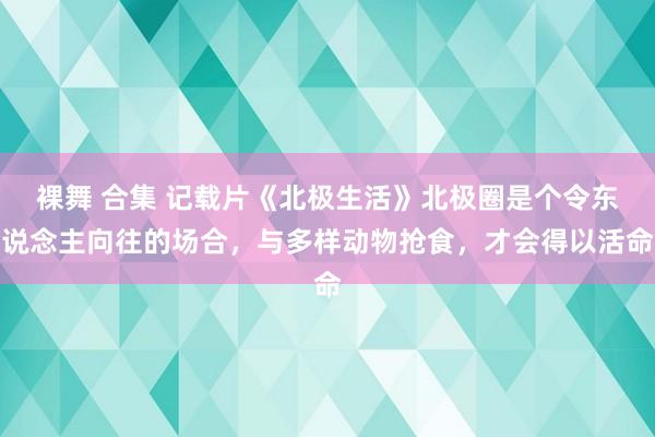 裸舞 合集 记载片《北极生活》北极圈是个令东说念主向往的场合，与多样动物抢食，才会得以活命