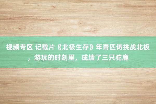 视频专区 记载片《北极生存》年青匹俦挑战北极，游玩的时刻里，成绩了三只驼鹿