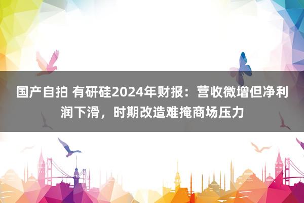 国产自拍 有研硅2024年财报：营收微增但净利润下滑，时期改造难掩商场压力