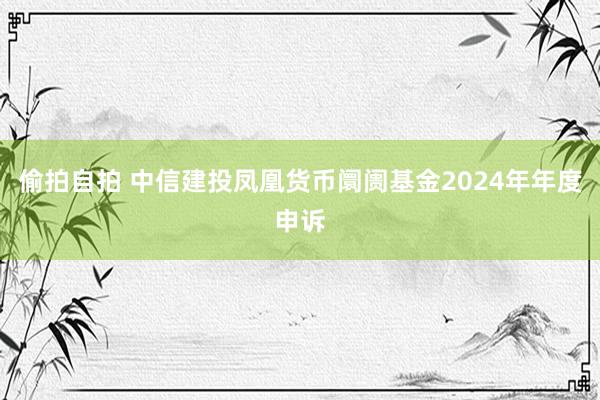 偷拍自拍 中信建投凤凰货币阛阓基金2024年年度申诉