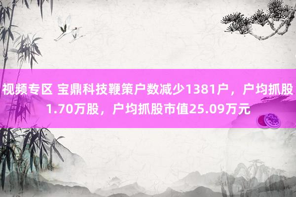 视频专区 宝鼎科技鞭策户数减少1381户，户均抓股1.70万股，户均抓股市值25.09万元