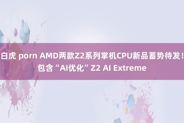 白虎 porn AMD两款Z2系列掌机CPU新品蓄势待发！包含“AI优化”Z2 AI Extreme