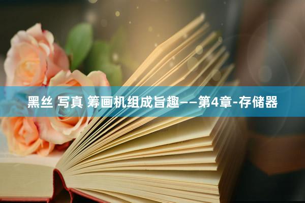 黑丝 写真 筹画机组成旨趣——第4章-存储器
