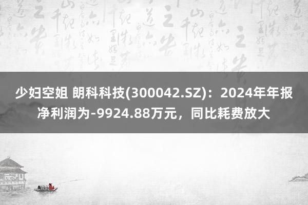 少妇空姐 朗科科技(300042.SZ)：2024年年报净利润为-9924.88万元，同比耗费放大