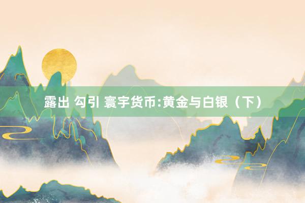 露出 勾引 寰宇货币:黄金与白银（下）