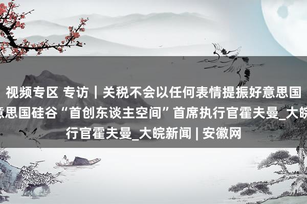 视频专区 专访｜关税不会以任何表情提振好意思国经济——访好意思国硅谷“首创东谈主空间”首席执行官霍夫曼_大皖新闻 | 安徽网
