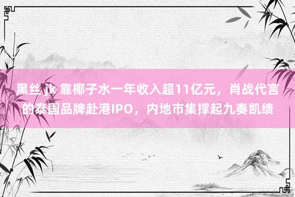 黑丝 jk 靠椰子水一年收入超11亿元，肖战代言的泰国品牌赴港IPO，内地市集撑起九奏凯绩