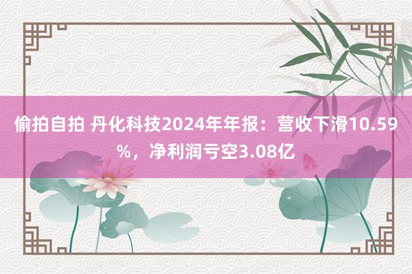 偷拍自拍 丹化科技2024年年报：营收下滑10.59%，净利润亏空3.08亿