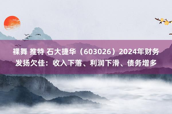 裸舞 推特 石大捷华（603026）2024年财务发扬欠佳：收入下落、利润下滑、债务增多
