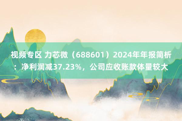 视频专区 力芯微（688601）2024年年报简析：净利润减37.23%，公司应收账款体量较大
